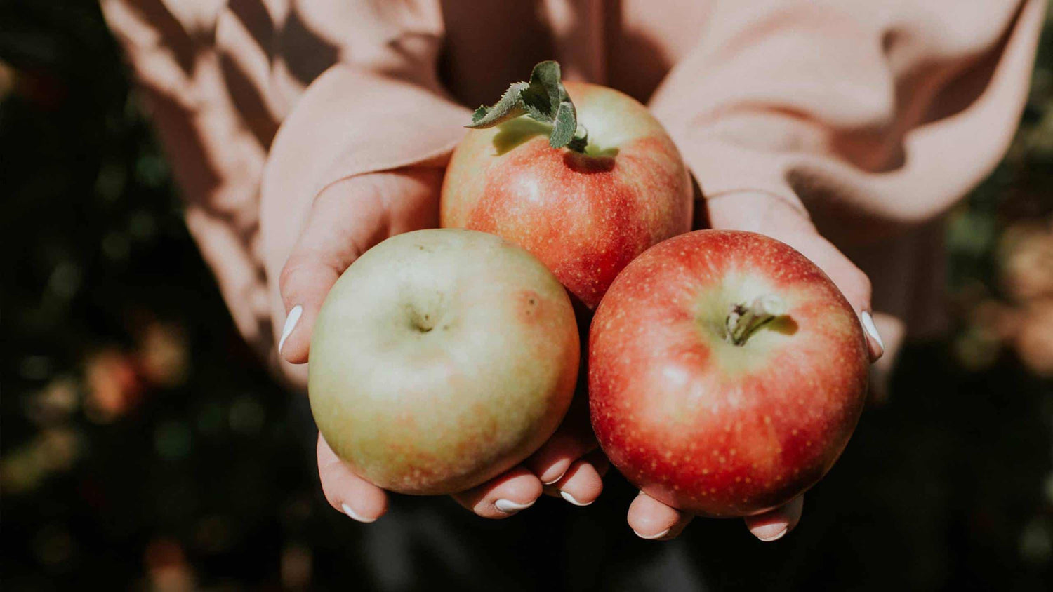 Try Our Seasonal Apple Crisp Smoothie Bowl Recipe